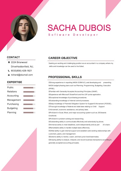 online resume maker -sample 4