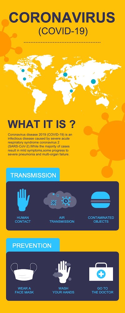 infographic creator for school