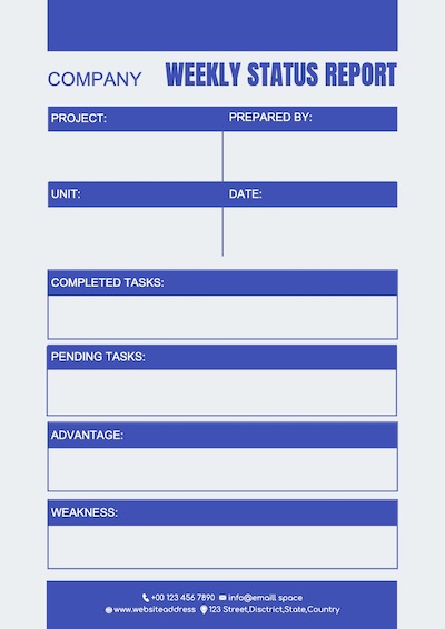 Template image of the report