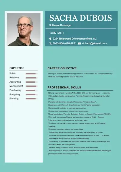 online resume maker -sample 8