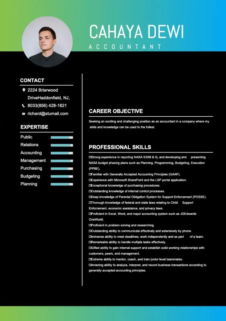 online resume maker -sample 2
